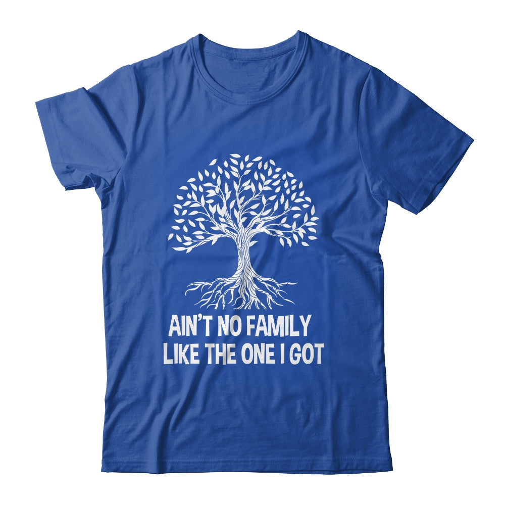 Ain't No Family Like The One I Got Family Reunion Funny Shirt & Hoodie | siriusteestore