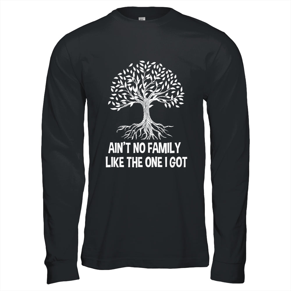 Ain't No Family Like The One I Got Family Reunion Funny Shirt & Hoodie | siriusteestore