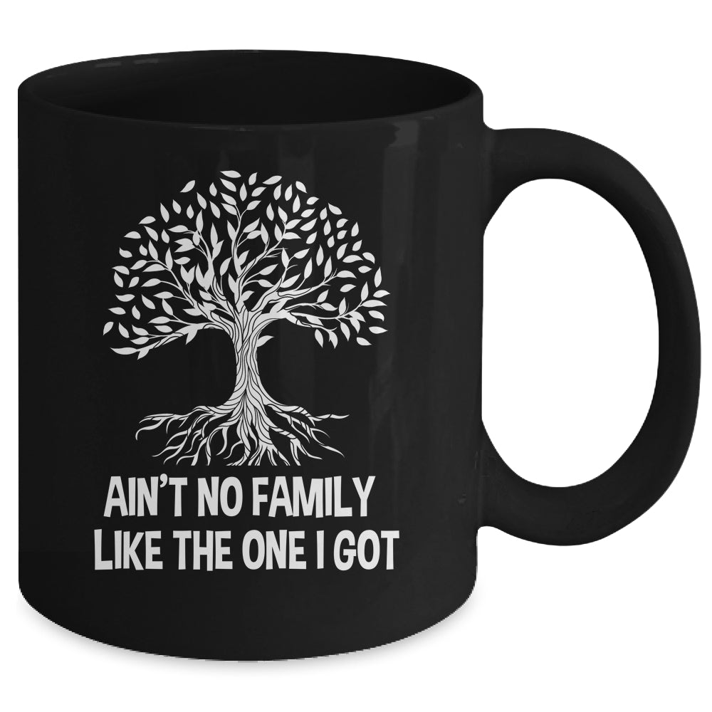 Ain't No Family Like The One I Got Family Reunion Funny Mug | siriusteestore