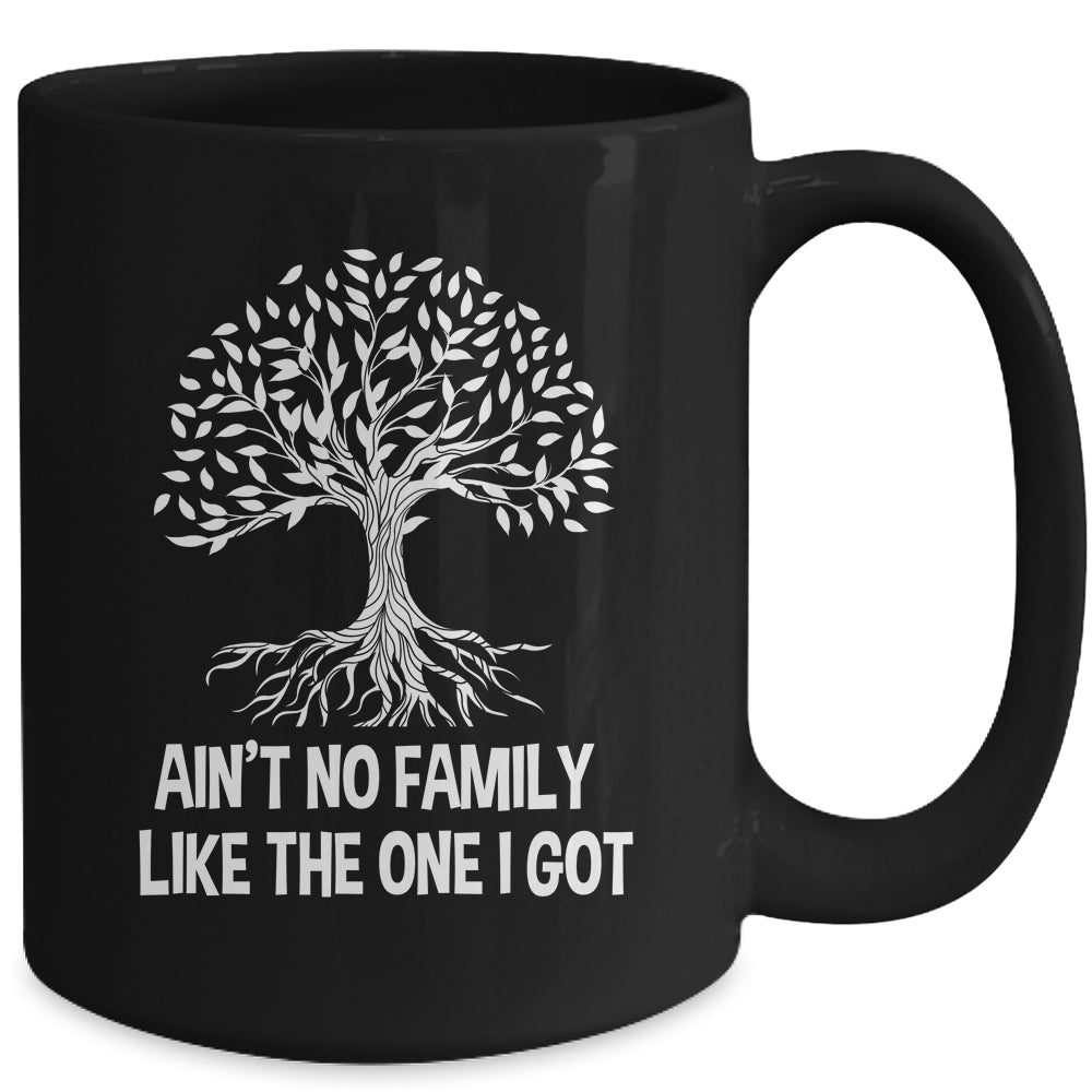 Ain't No Family Like The One I Got Family Reunion Funny Mug | siriusteestore