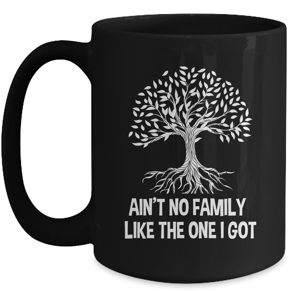Ain't No Family Like The One I Got Family Reunion Funny Mug | siriusteestore