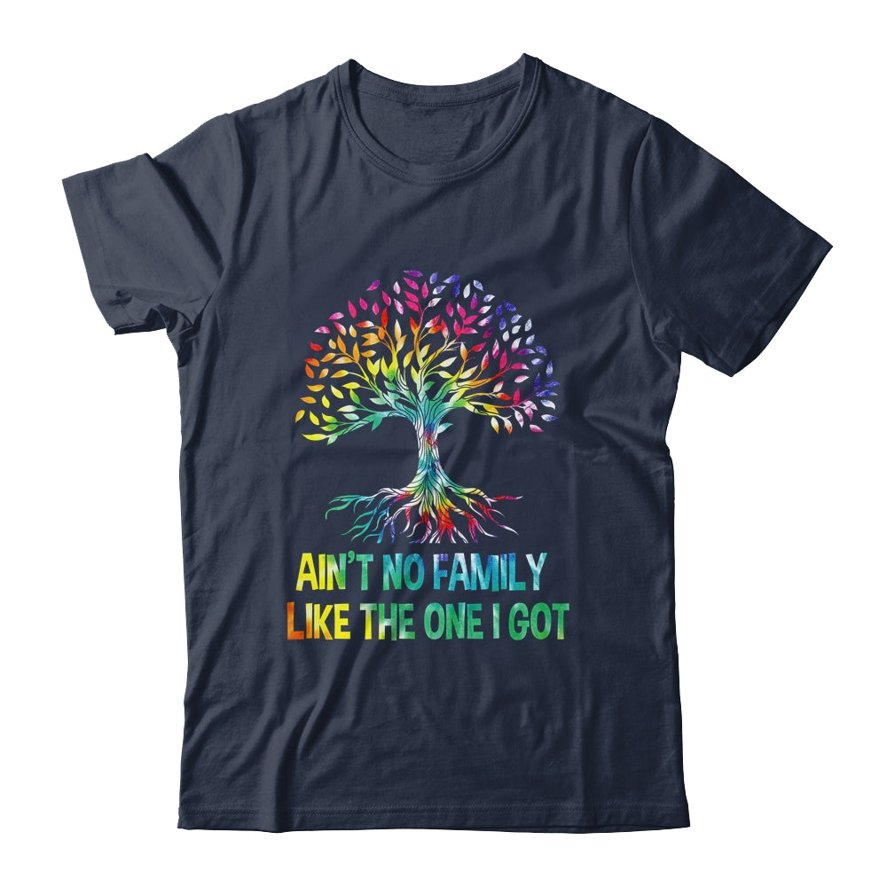 Ain't No Family Like The One I Got Tie Dye Funny Family Shirt & Hoodie | siriusteestore