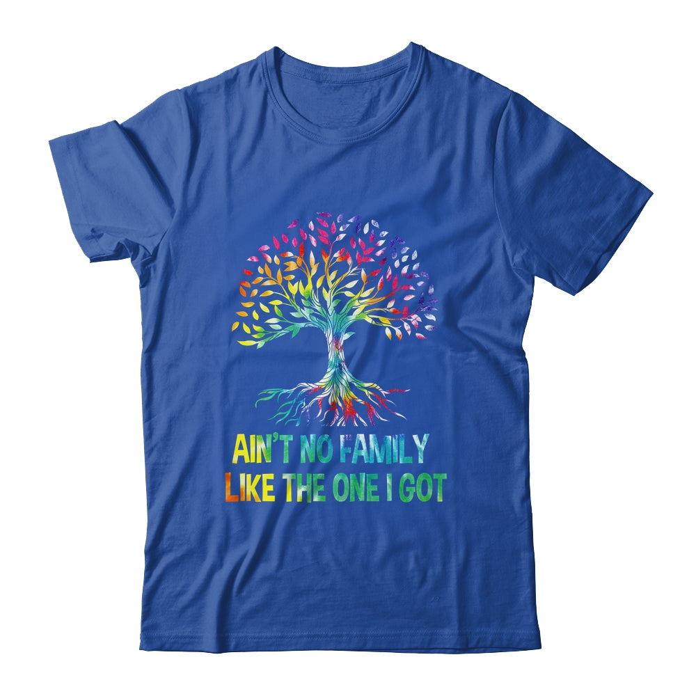 Ain't No Family Like The One I Got Tie Dye Funny Family Shirt & Hoodie | siriusteestore