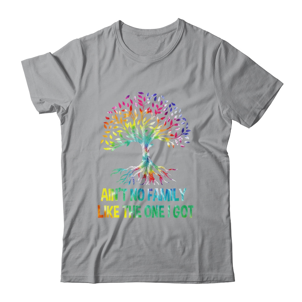 Ain't No Family Like The One I Got Tie Dye Funny Family Shirt & Hoodie | siriusteestore