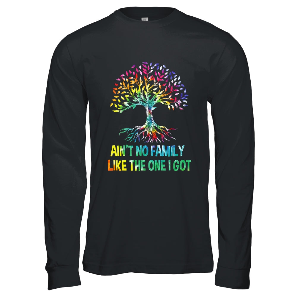 Ain't No Family Like The One I Got Tie Dye Funny Family Shirt & Hoodie | siriusteestore