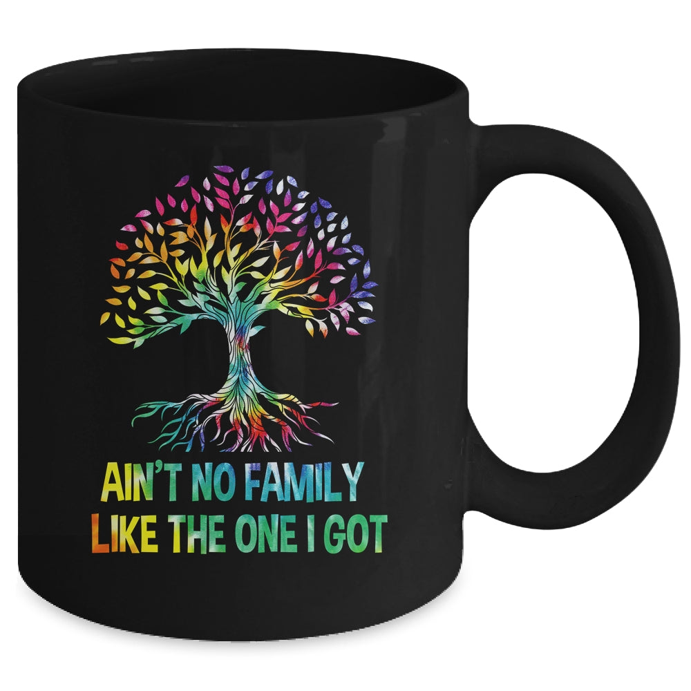 Ain't No Family Like The One I Got Tie Dye Funny Family Mug | siriusteestore