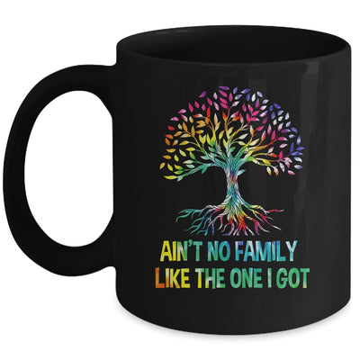 Ain't No Family Like The One I Got Tie Dye Funny Family Mug | siriusteestore