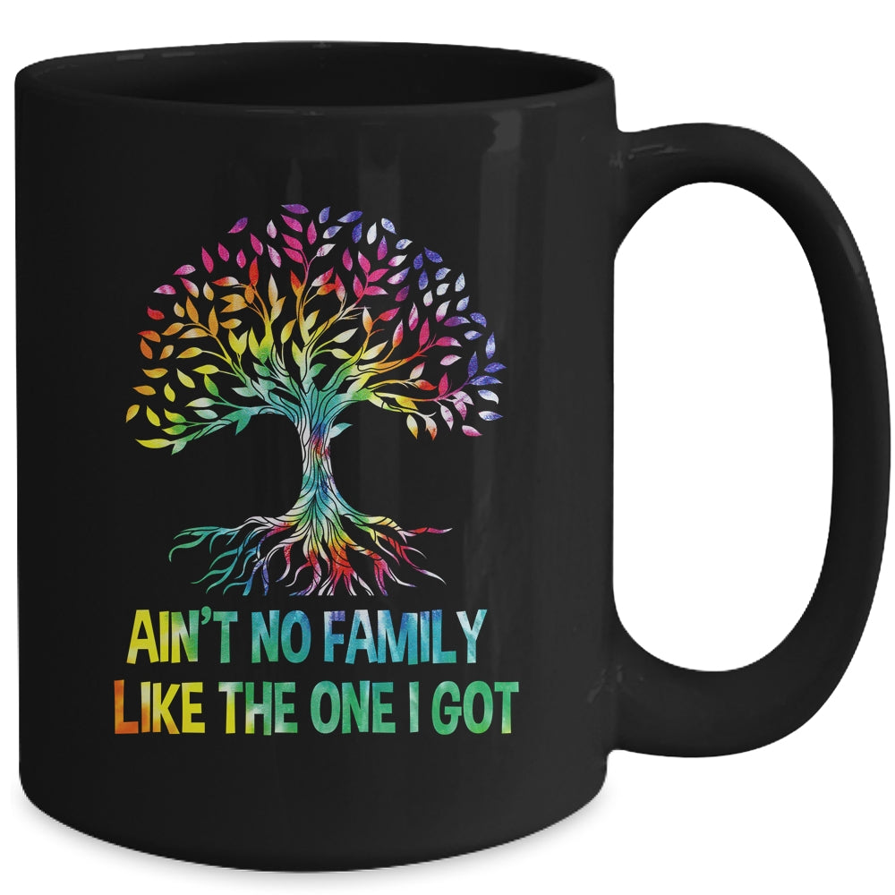 Ain't No Family Like The One I Got Tie Dye Funny Family Mug | siriusteestore