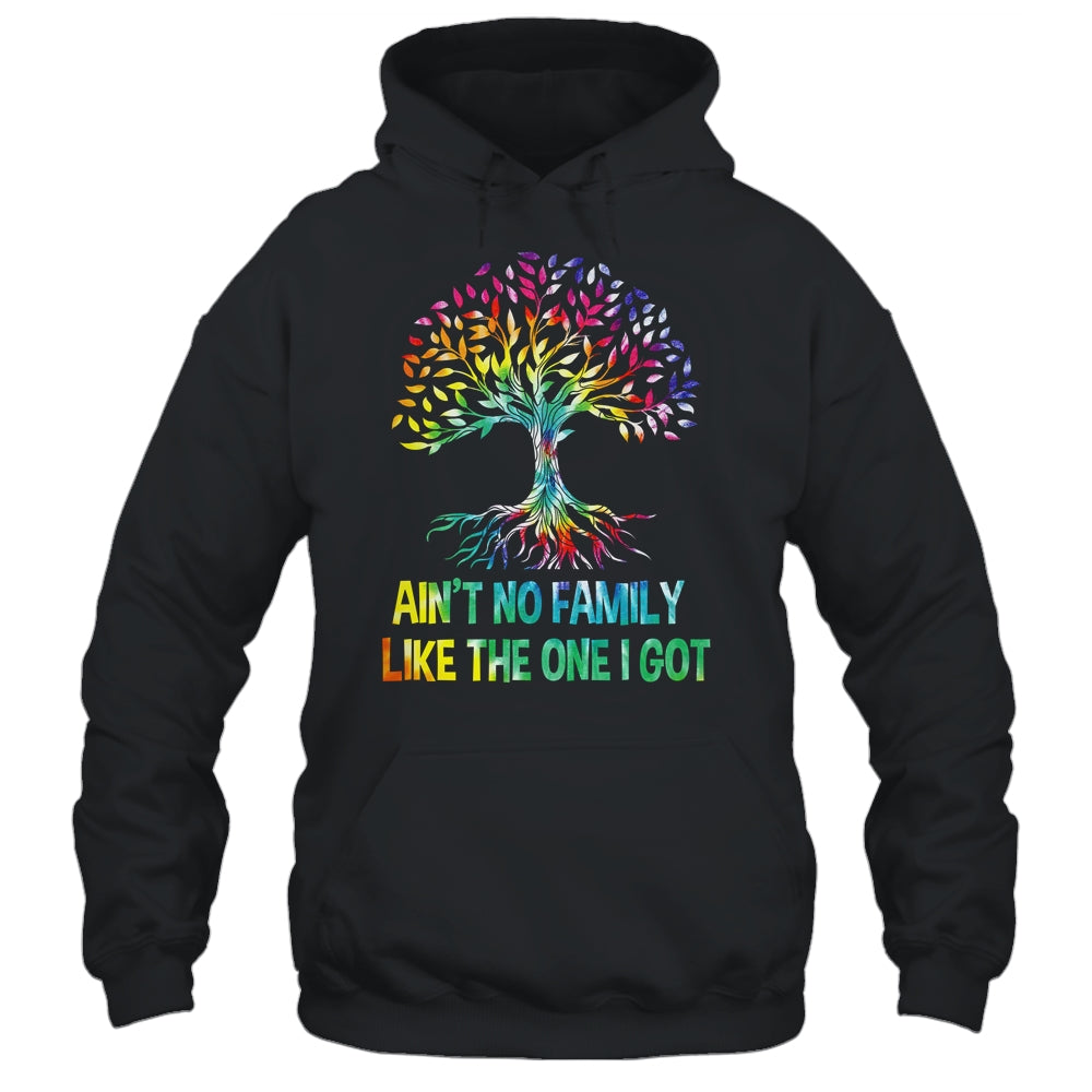 Ain't No Family Like The One I Got Tie Dye Funny Family Shirt & Hoodie | siriusteestore