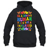Be A Decent Human It's Not That Hard LGBT Men Women Groovy Shirt & Tank Top | siriusteestore