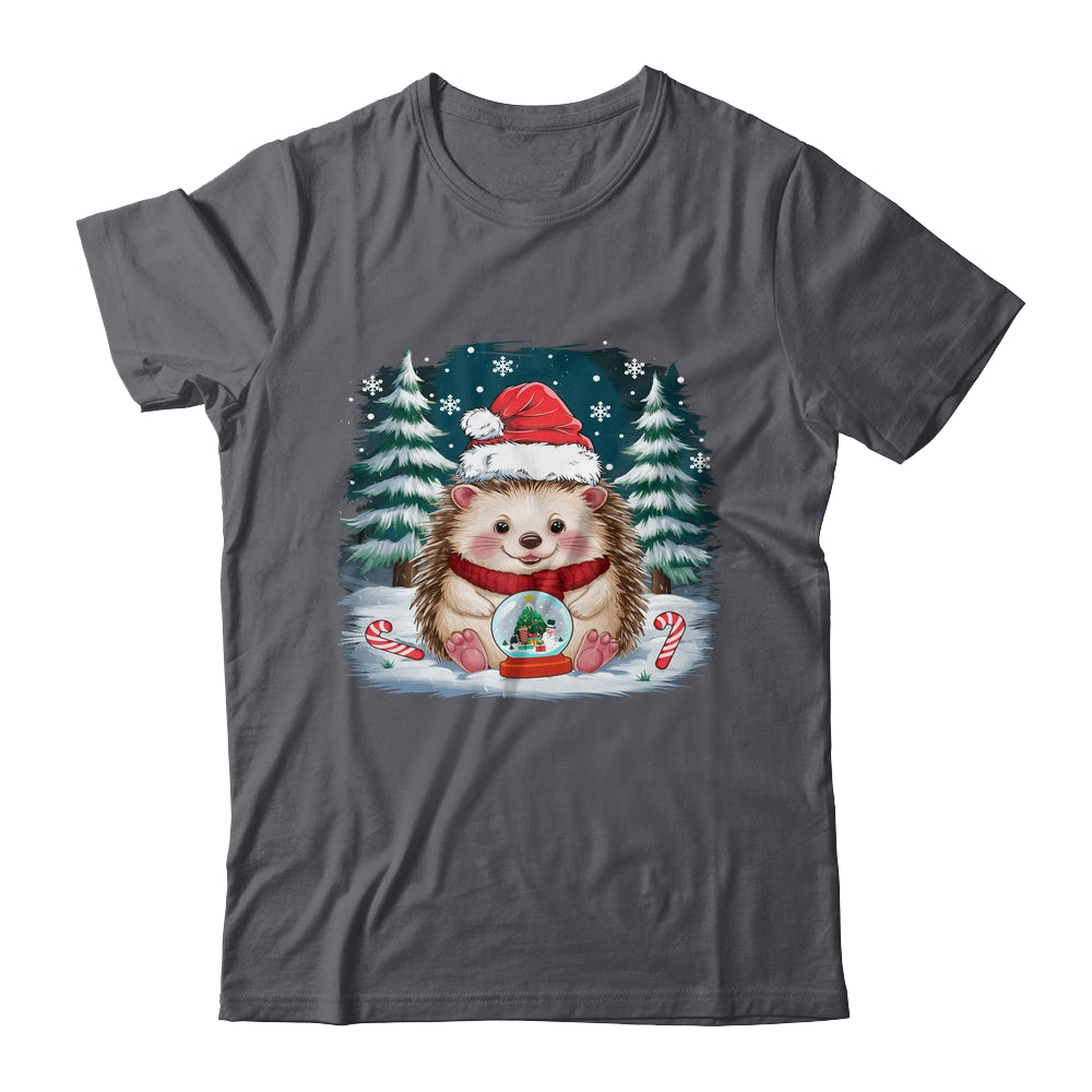 Cute Hedgehog Christmas Lights Santa Hat Xmas Men Women Kids Shirt & Sweatshirt | siriusteestore