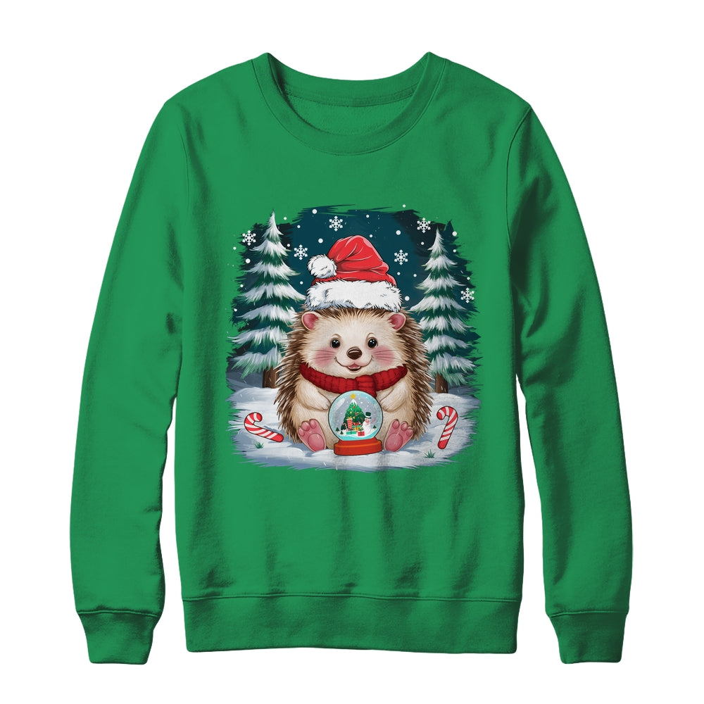 Cute Hedgehog Christmas Lights Santa Hat Xmas Men Women Kids Shirt & Sweatshirt | siriusteestore