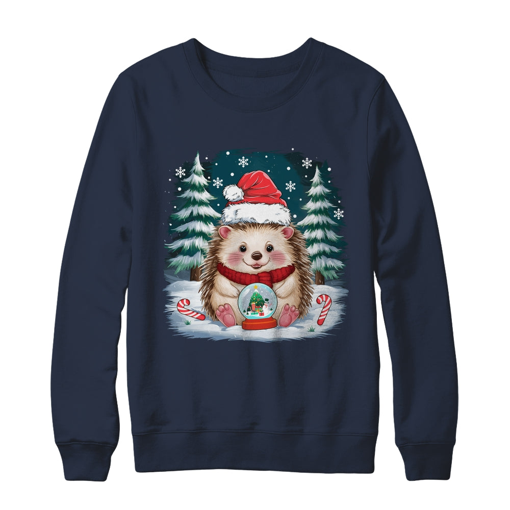 Cute Hedgehog Christmas Lights Santa Hat Xmas Men Women Kids Shirt & Sweatshirt | siriusteestore