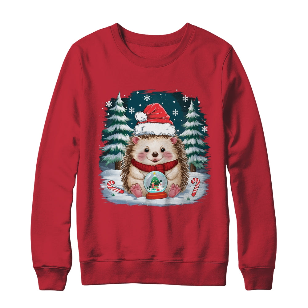 Cute Hedgehog Christmas Lights Santa Hat Xmas Men Women Kids Shirt & Sweatshirt | siriusteestore