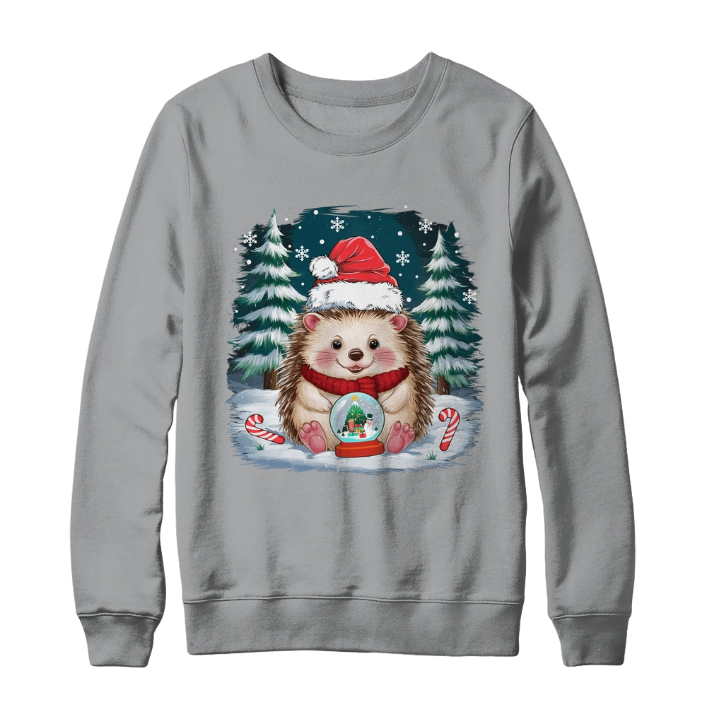 Cute Hedgehog Christmas Lights Santa Hat Xmas Men Women Kids Shirt & Sweatshirt | siriusteestore