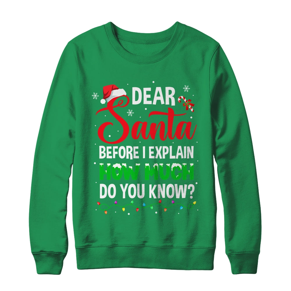 Dear Santa I Can Explain Funny Christmas Kids Adults Shirt & Sweatshirt | siriusteestore