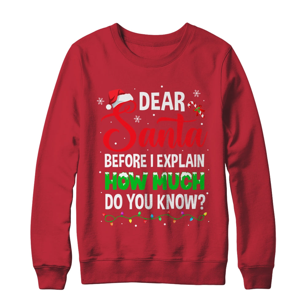 Dear Santa I Can Explain Funny Christmas Kids Adults Shirt & Sweatshirt | siriusteestore