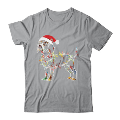 Funny Santa Beagle Retriever Christmas Lights Dog Lover Shirt & Sweatshirt | siriusteestore
