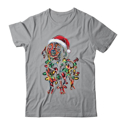 Funny Santa Dachshund Retriever Christmas Lights Dog Lover Shirt & Sweatshirt | siriusteestore