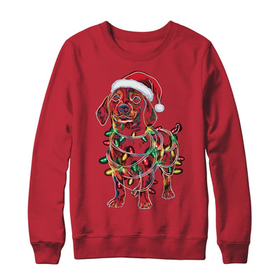 Funny Santa Dachshund Retriever Christmas Lights Dog Lover Shirt & Sweatshirt | siriusteestore