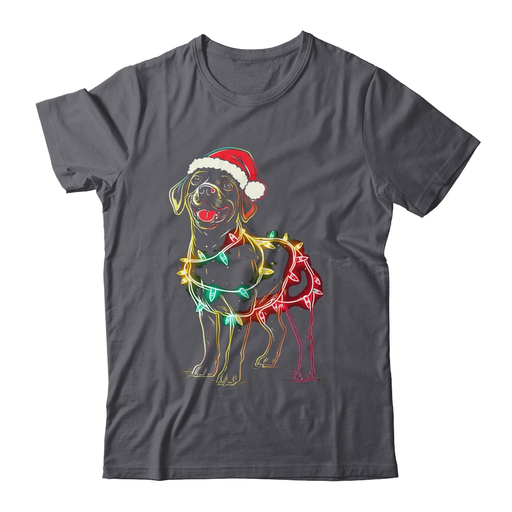 Funny Santa Labrador Retriever Christmas Lights Dog Lover Shirt & Sweatshirt | siriusteestore