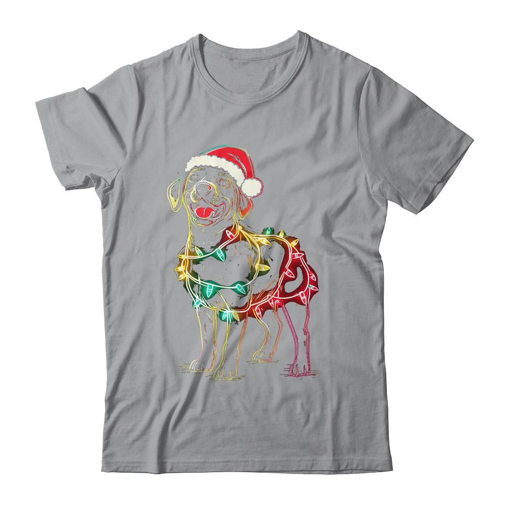 Funny Santa Labrador Retriever Christmas Lights Dog Lover Shirt & Sweatshirt | siriusteestore