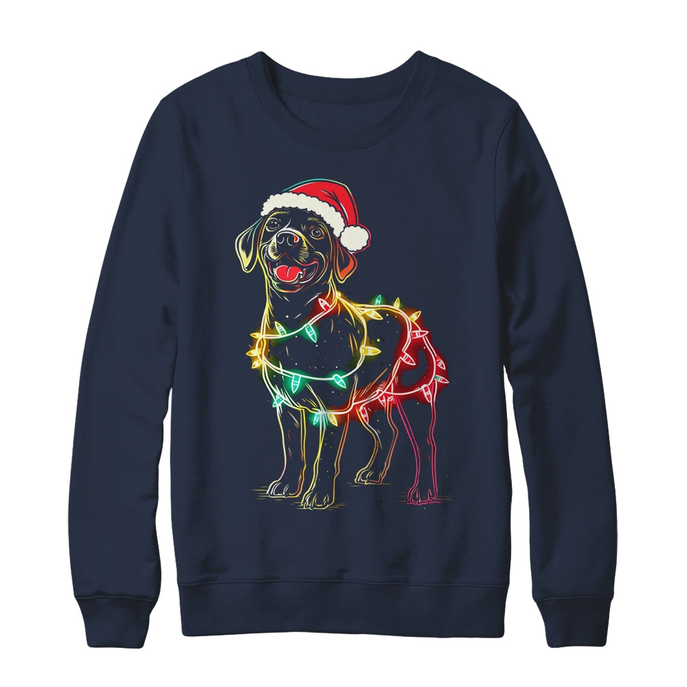 Funny labrador t shirts shop