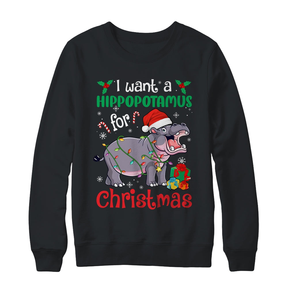 I Want A Hippopotamus For Christmas Xmas Hippo Kid Women Shirt & Sweatshirt | siriusteestore