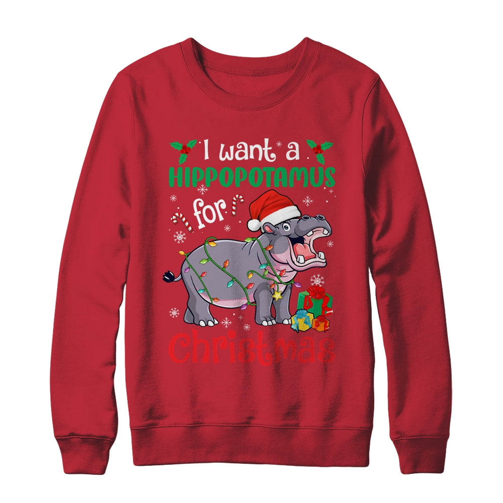 I Want A Hippopotamus For Christmas Xmas Hippo Kid Women Shirt & Sweatshirt | siriusteestore