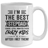 I'm The Best Stepdad Funny Father's Day From Crazy Kids Mug | siriusteestore