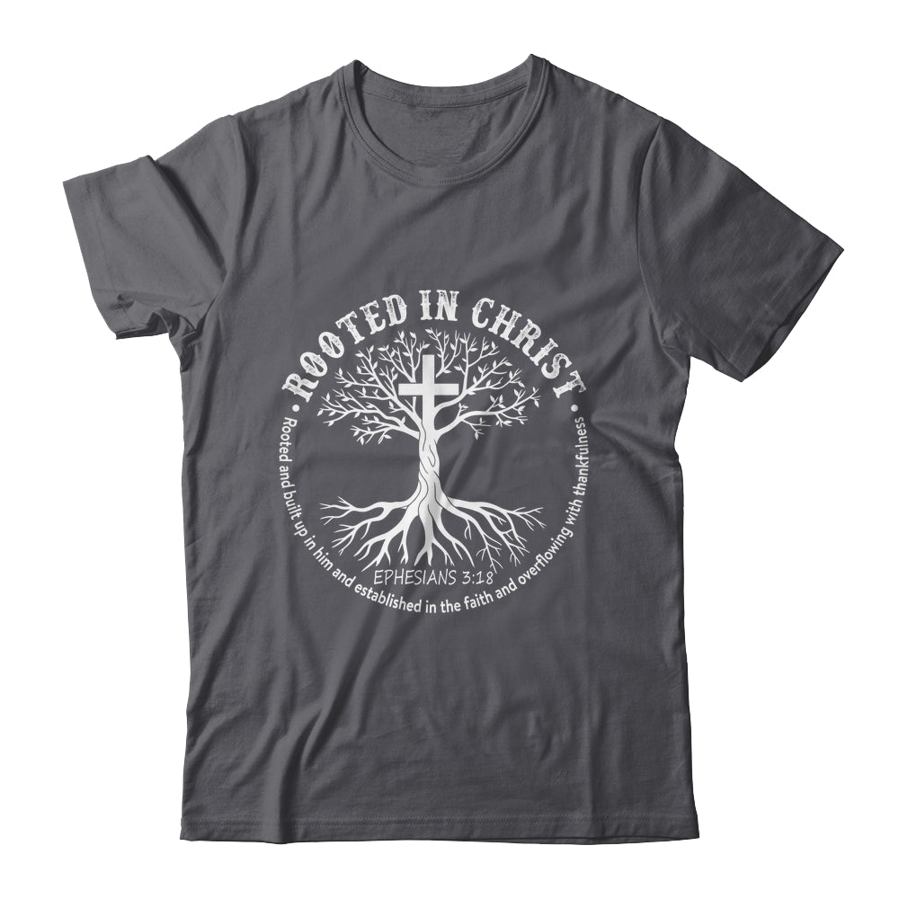Jesus Cross Pray Bible Rooted In Christ Christian Men Women Shirt & Hoodie | siriusteestore
