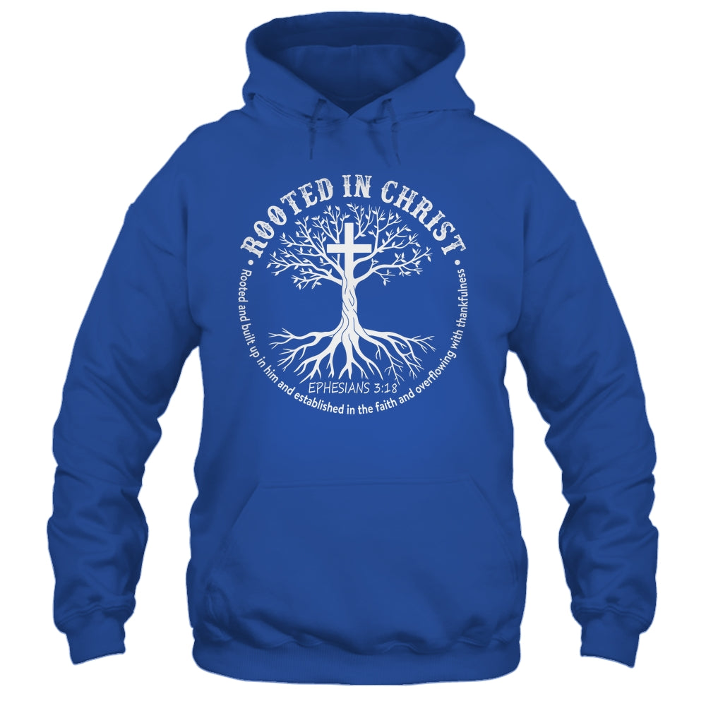 Jesus Cross Pray Bible Rooted In Christ Christian Men Women Shirt & Hoodie | siriusteestore