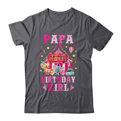 Papa Of The Birthday Girl Circus Carnival Family Party Shirt & Hoodie | siriusteestore