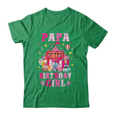 Papa Of The Birthday Girl Circus Carnival Family Party Shirt & Hoodie | siriusteestore