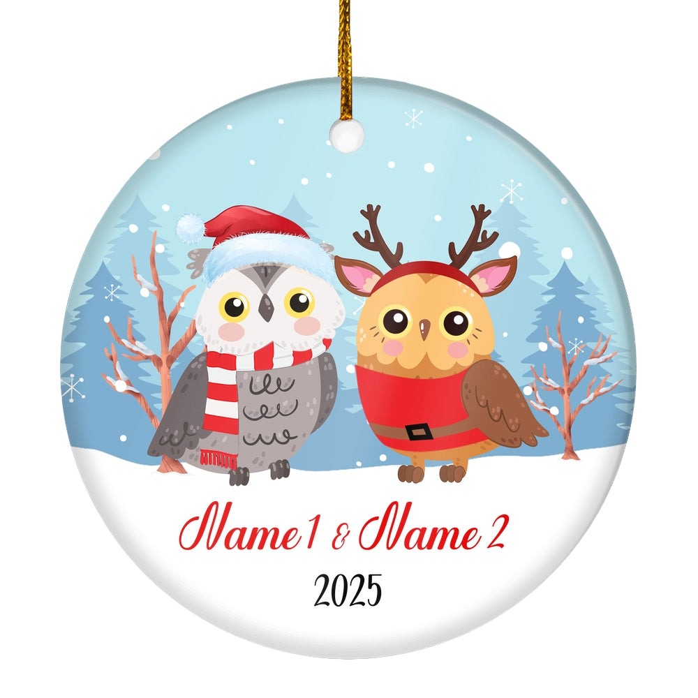 Personalized Owl Brother or Sister Christmas Ornament for Siblings Little Brother Sister with Names Customized Christmas Tree Ornament | siriusteestore