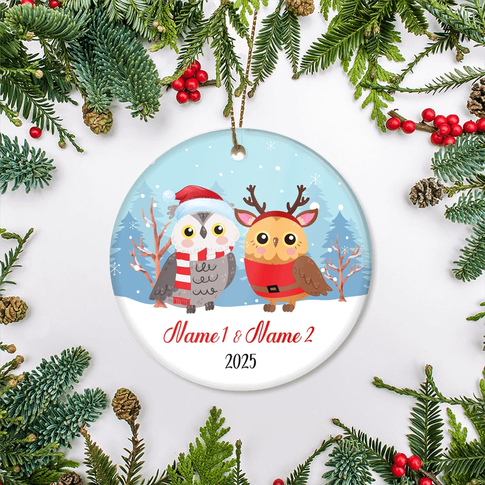 Personalized Owl Brother or Sister Christmas Ornament for Siblings Little Brother Sister with Names Customized Christmas Tree Ornament | siriusteestore