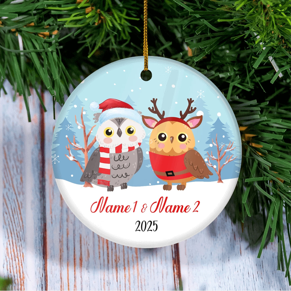 Personalized Owl Brother or Sister Christmas Ornament for Siblings Little Brother Sister with Names Customized Christmas Tree Ornament | siriusteestore