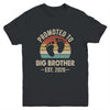 Promoted To Big Brother Est 2026 Brother Vintage Shirt & Hoodie | siriusteestore