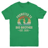 Promoted To Big Brother Est 2026 Brother Vintage Shirt & Hoodie | siriusteestore
