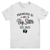 Promoted To Big Sister Est 2025 First Time New Sister Youth Shirt | siriusteestore