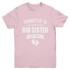 Promoted To Big Sister Est 2025 New Sister First Time New Youth Shirt | siriusteestore