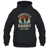 Promoted To Daddy Est 2026 Fathers Day Vintage Shirt & Hoodie | siriusteestore