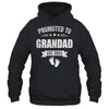 Promoted To Grandad Est 2025 Fathers Day First Time New Shirt & Hoodie | siriusteestore
