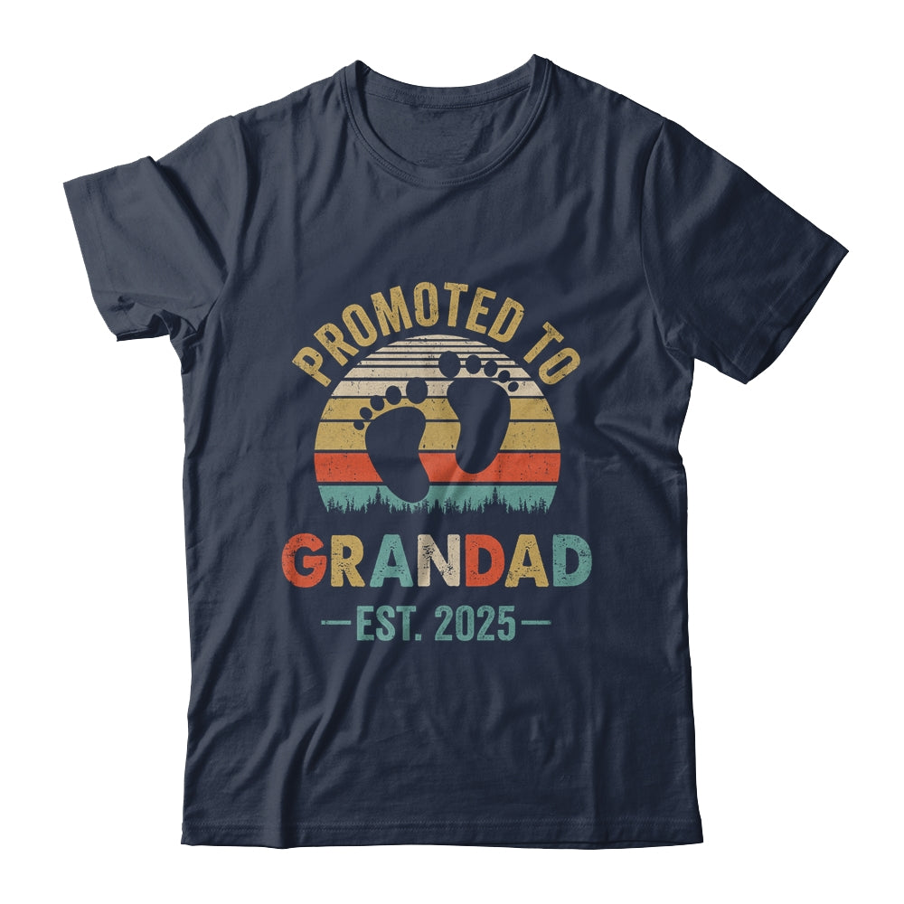 Promoted To Grandad Est 2025 Fathers Day Vintage Shirt & Hoodie | siriusteestore