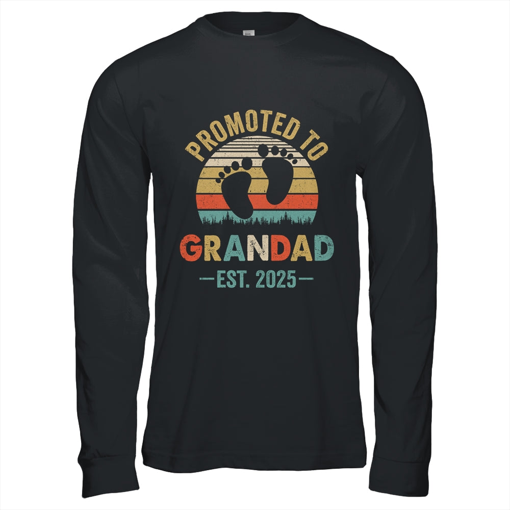 Promoted To Grandad Est 2025 Fathers Day Vintage Shirt & Hoodie | siriusteestore