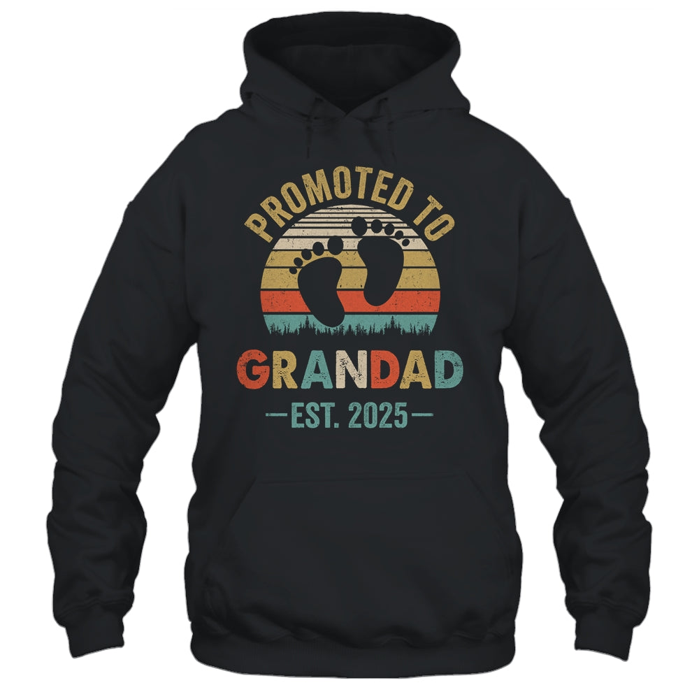 Promoted To Grandad Est 2025 Fathers Day Vintage Shirt & Hoodie | siriusteestore