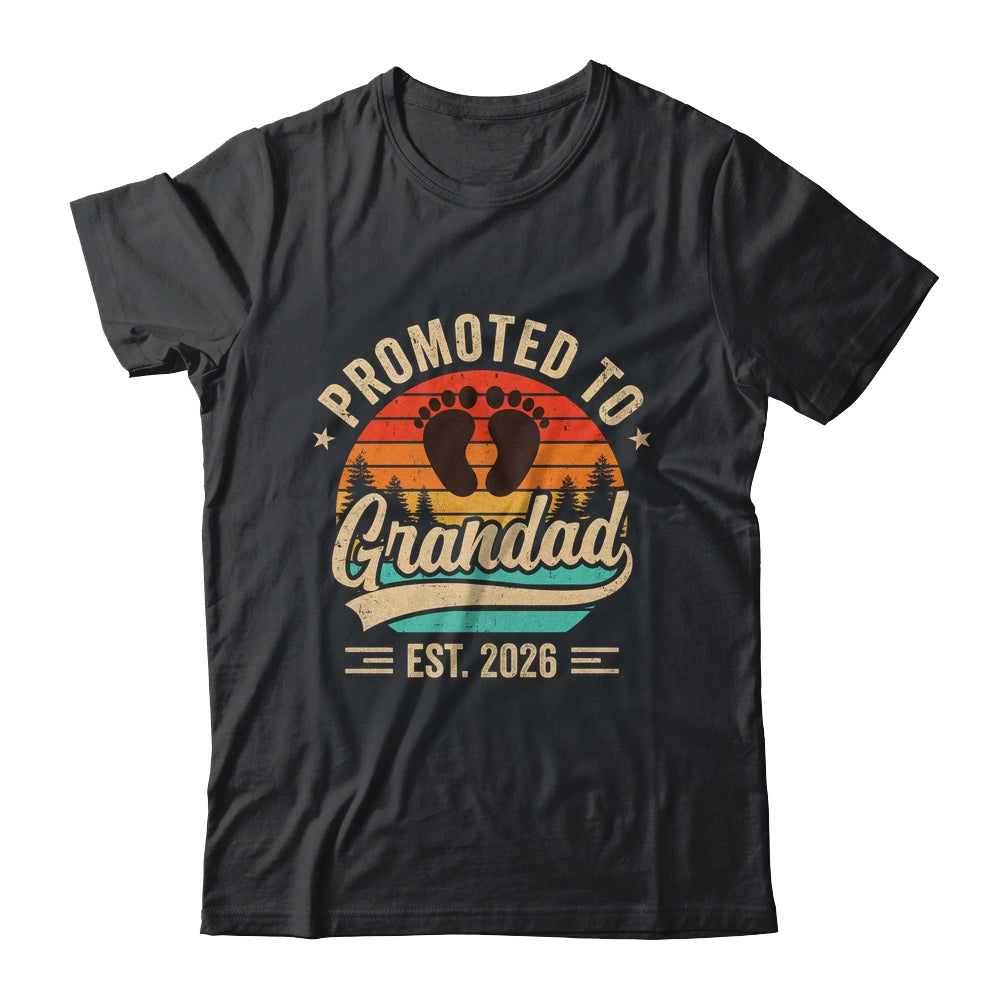 Promoted To Grandad Est 2026 Grandparents Baby Announcement Shirt & Hoodie | siriusteestore