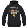 Promoted To Grandma 2025 Retro Soon To Be Grandma Est 2025 Shirt & Hoodie | siriusteestore