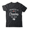 Promoted To Grandma Est 2025 Funny First Time Mothers Day Shirt & Tank Top | siriusteestore