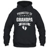 Promoted To Grandpa Est 2025 Fathers Day First Time New Shirt & Hoodie | siriusteestore